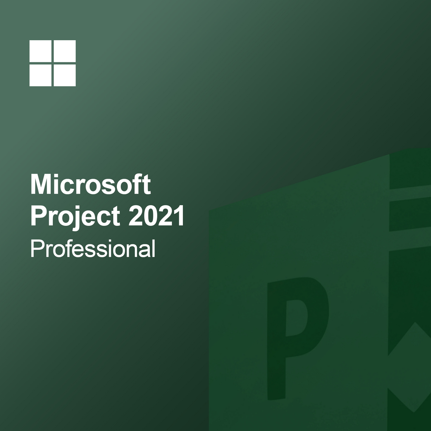 Microsoft Project 2021 Professionnel