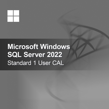 Microsoft SQL Server 2022 Standard 1 CAL utilisateur