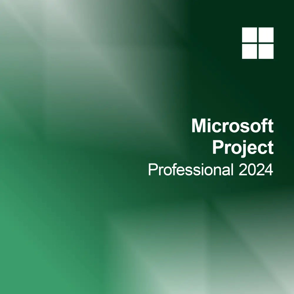 Microsoft Project Professionnel 2024