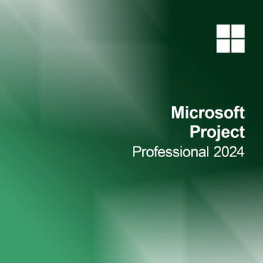 Microsoft Project Professionnel 2024