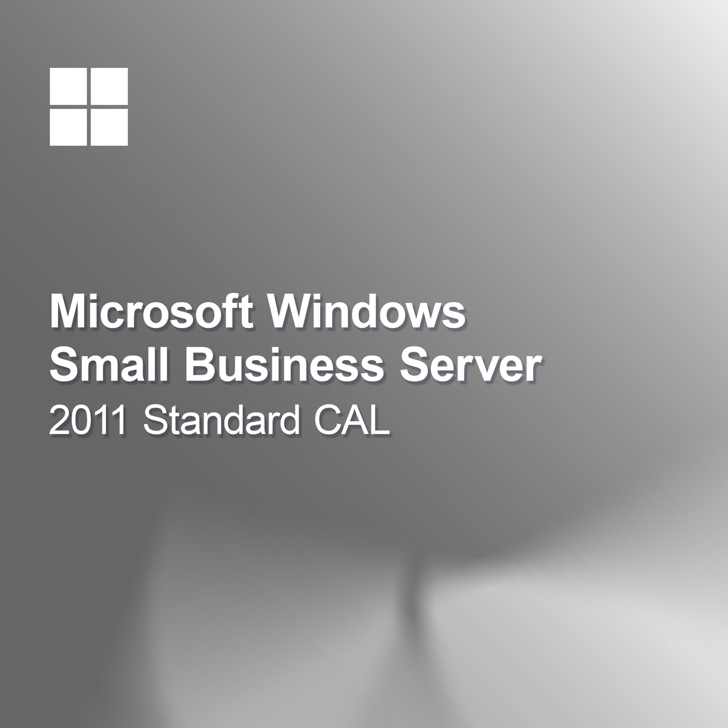 CAL Windows Small Business Server 2011 Standard