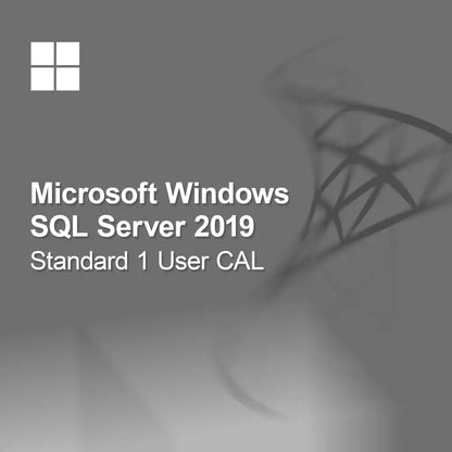 Microsoft SQL Server 2019 Standard 1 CAL utilisateur