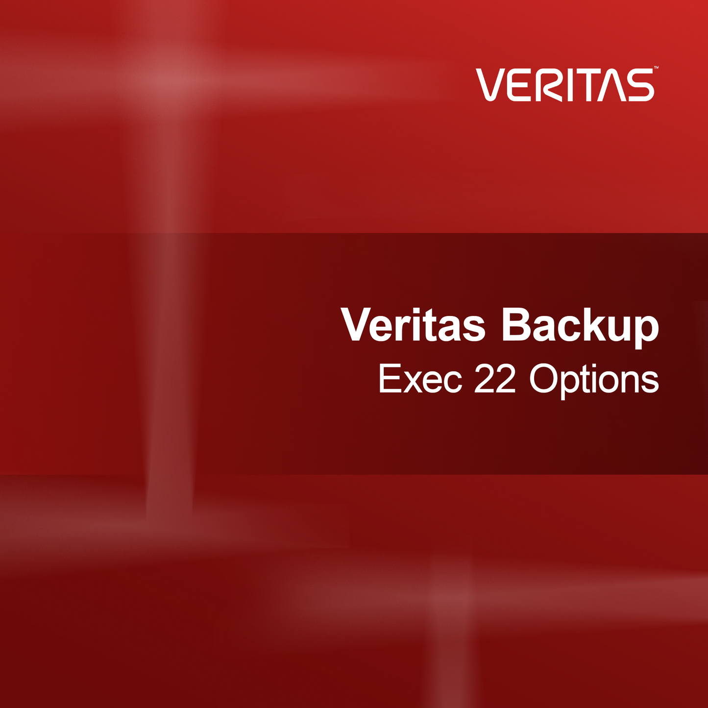 Options Veritas Backup Exec 22